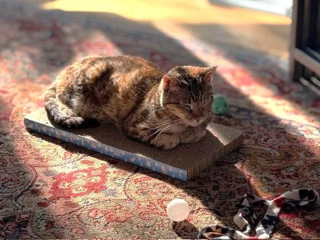 Maryanne thumbnail 3