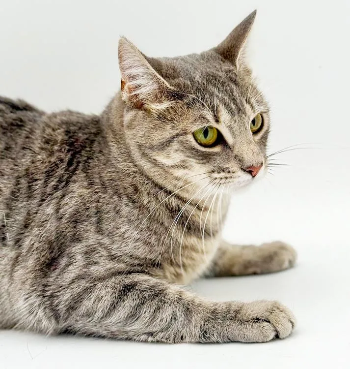 Luna Is A Love thumbnail 2