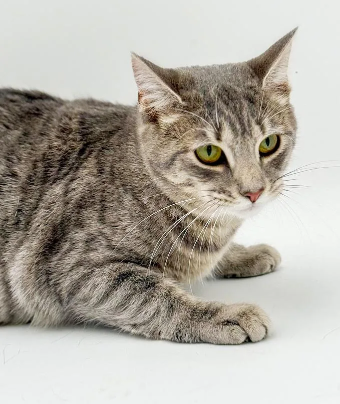 Luna Is A Love thumbnail 3