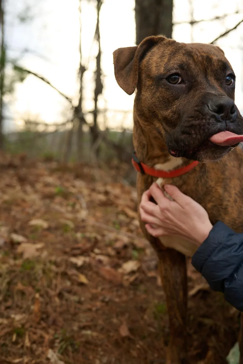 Bandit Community Post thumbnail 2