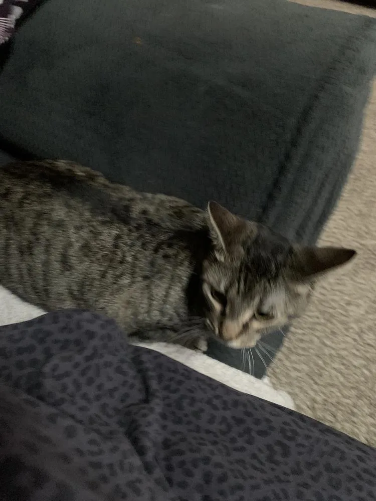 Jane Honda thumbnail 2