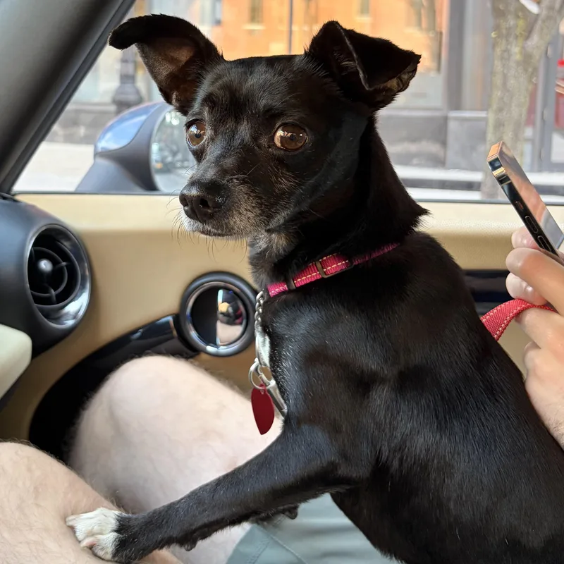 Copilot thumbnail 2