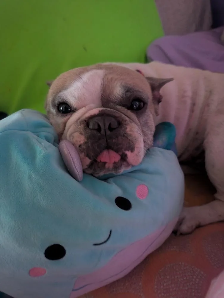 Tonya thumbnail 3