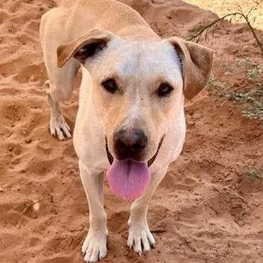 Baja Blast thumbnail 2