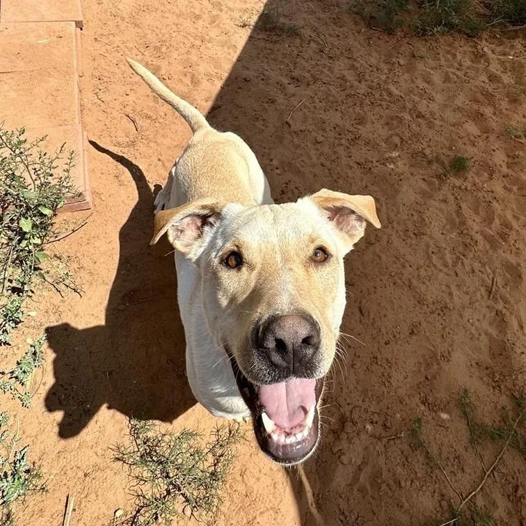 Baja Blast thumbnail 4