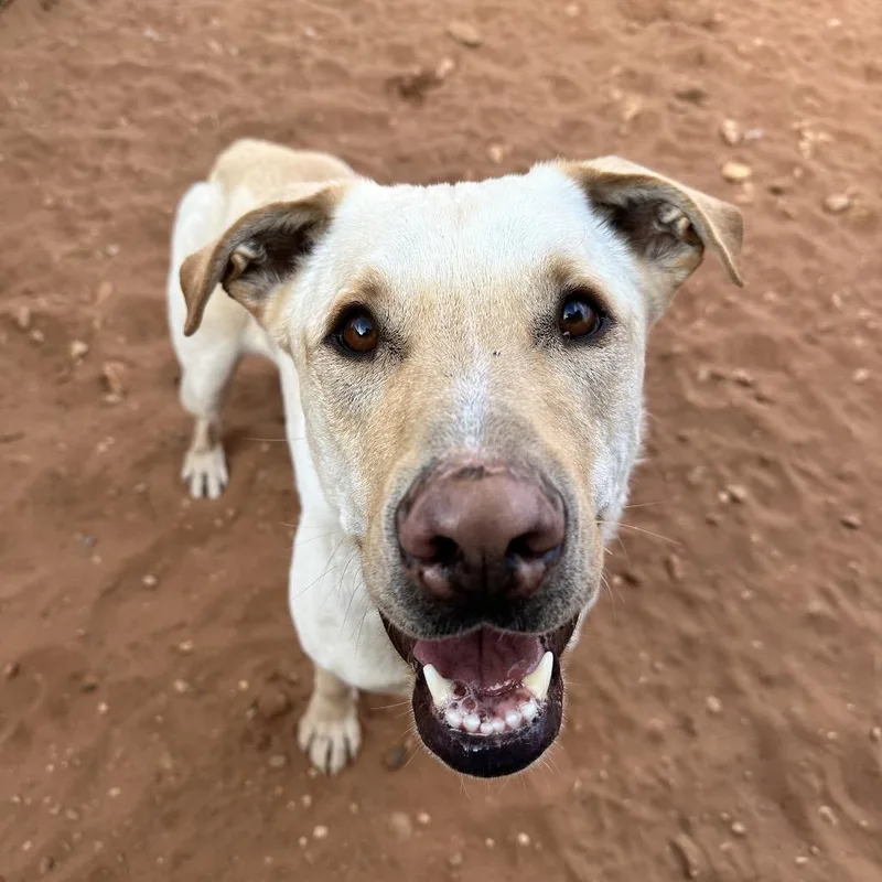 Baja Blast thumbnail 5