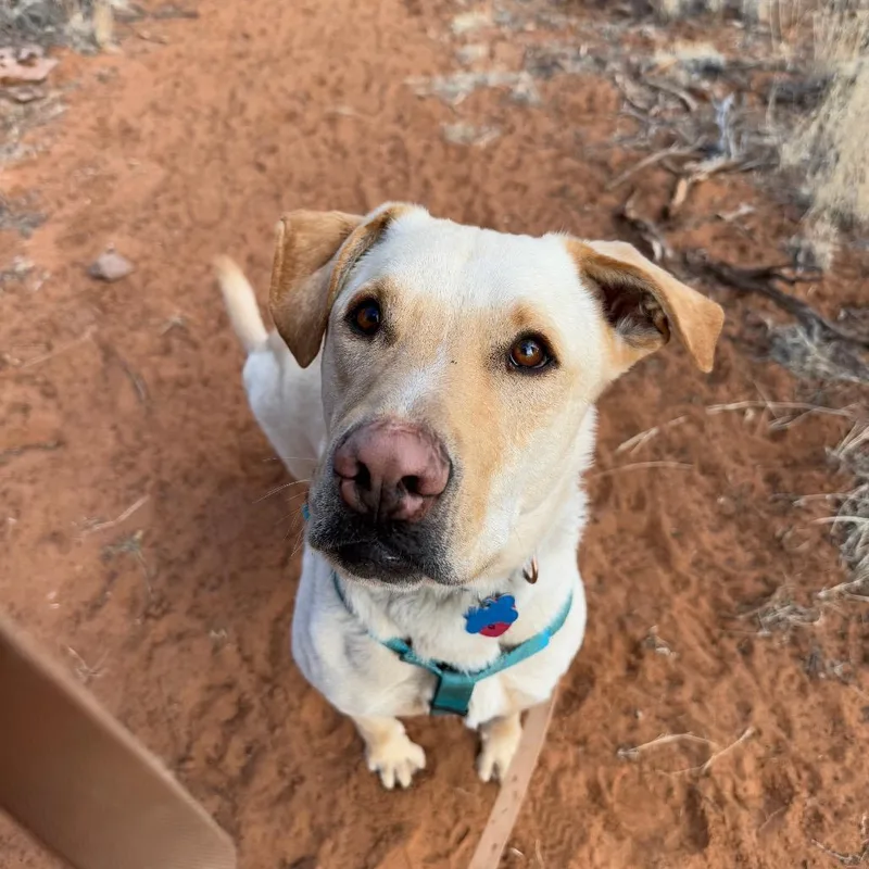 Baja Blast thumbnail 6