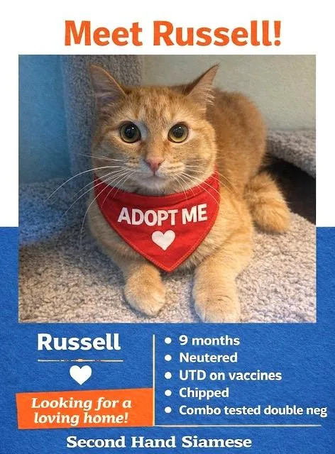 Remarkable Russell! thumbnail 3