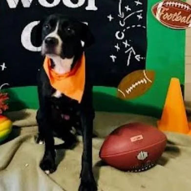 Christmas thumbnail 3