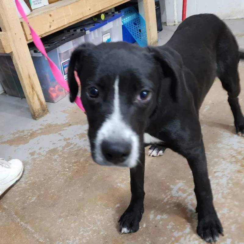 Christmas thumbnail 6