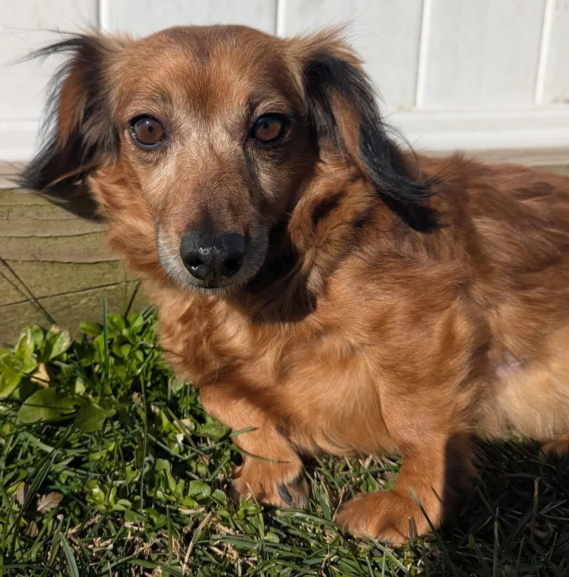 Gisselle In Tn thumbnail 3