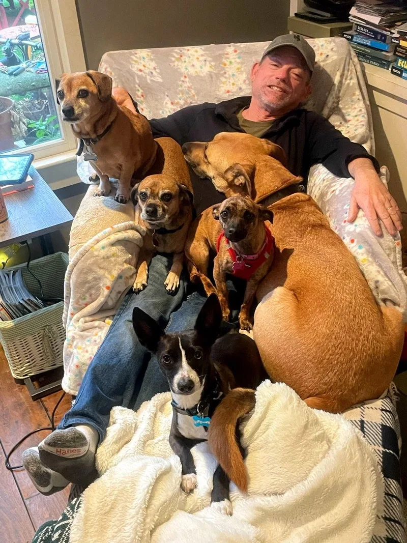 Mojo Jojo thumbnail 4