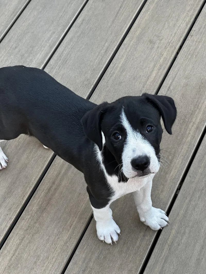 Rueben