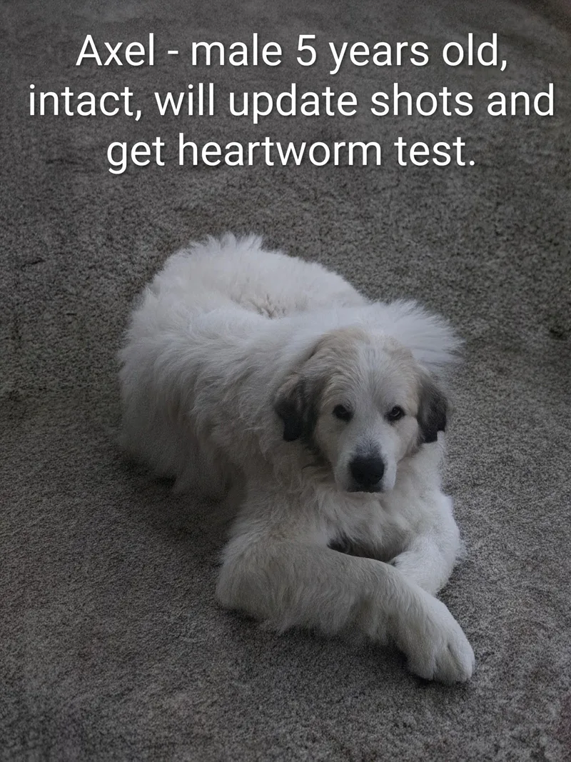 Axel Courtesy Listed