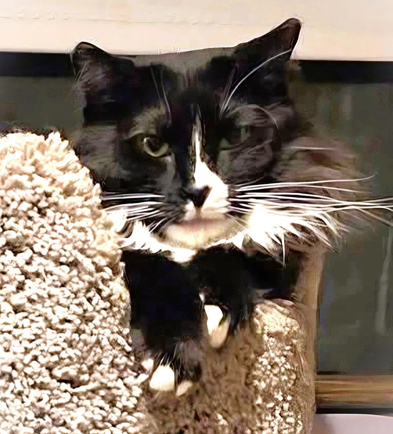 Esperanza thumbnail 2