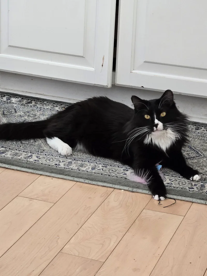 Esperanza thumbnail 3