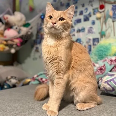 Copy And Paste thumbnail 4