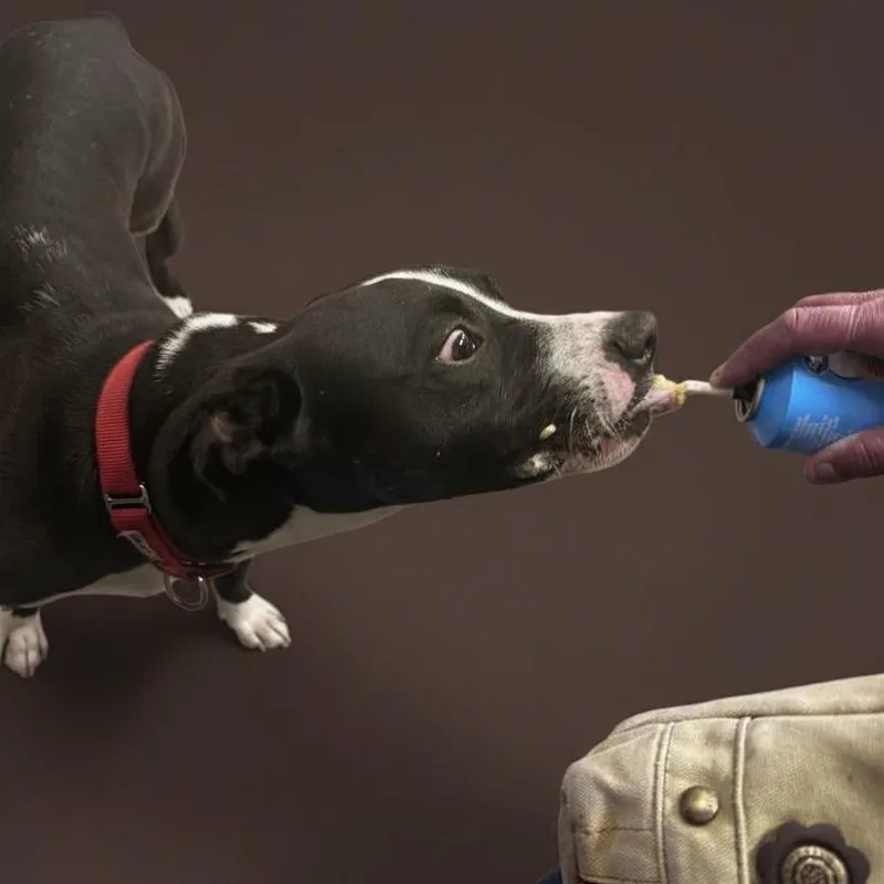 Milo thumbnail 4