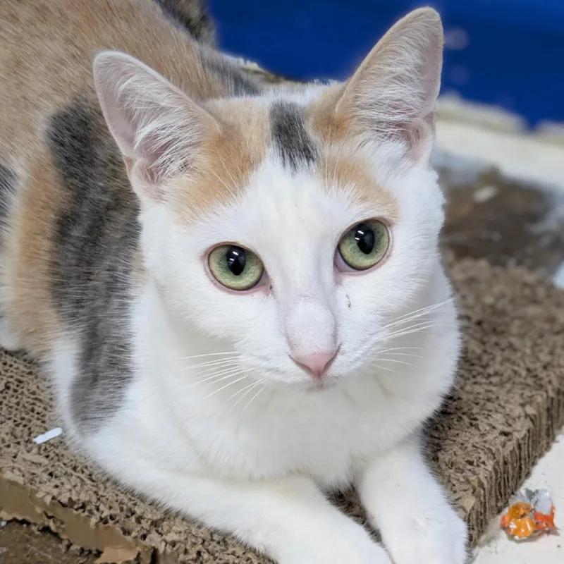 Helly R. thumbnail 2