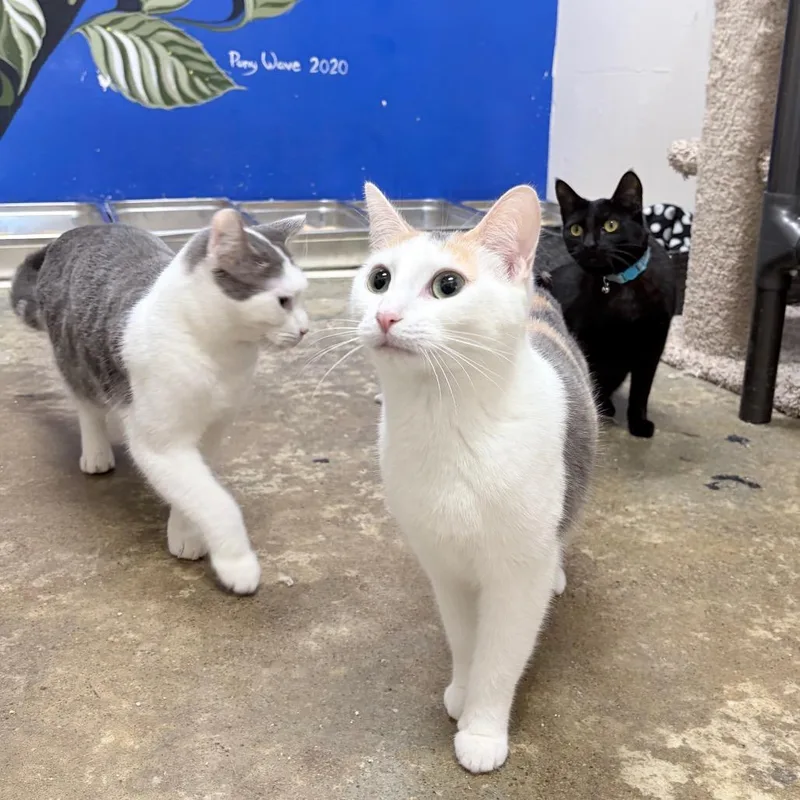 Helly R. thumbnail 3