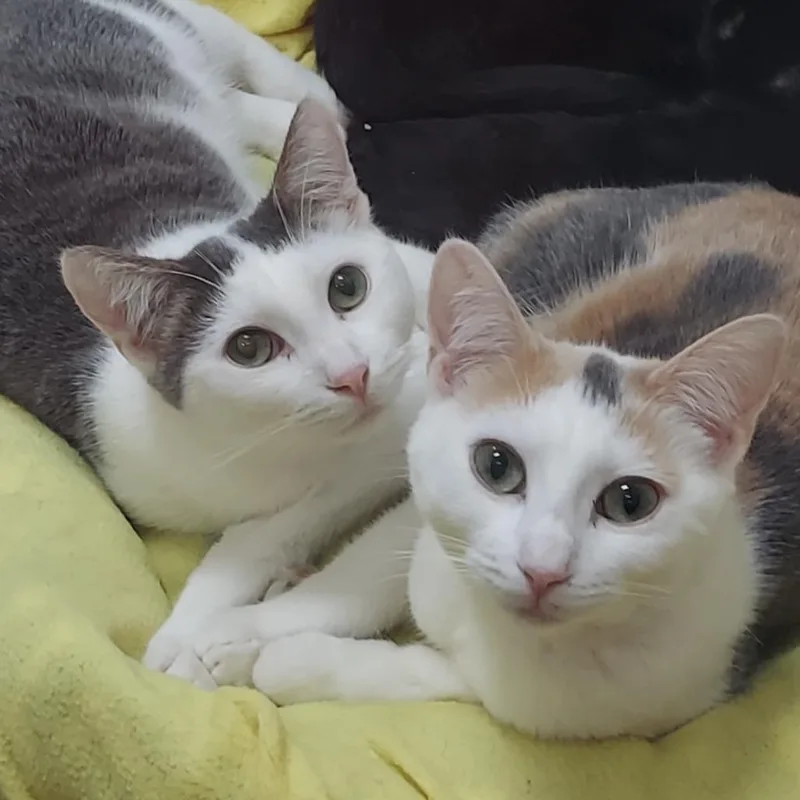 Helly R. thumbnail 5