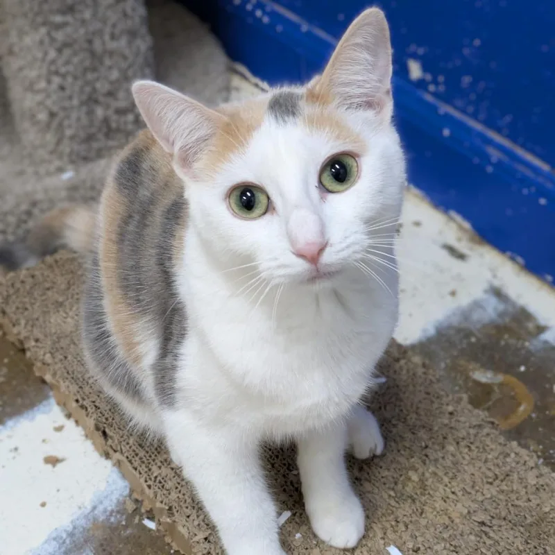 Helly R. thumbnail 6