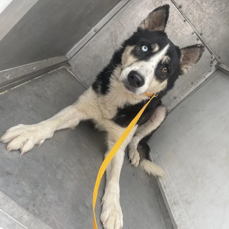 Ruby Woo thumbnail 3