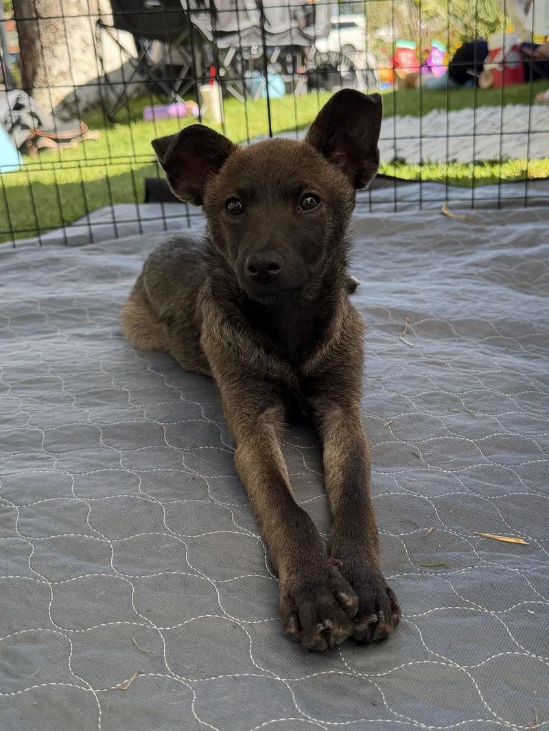 Rosita