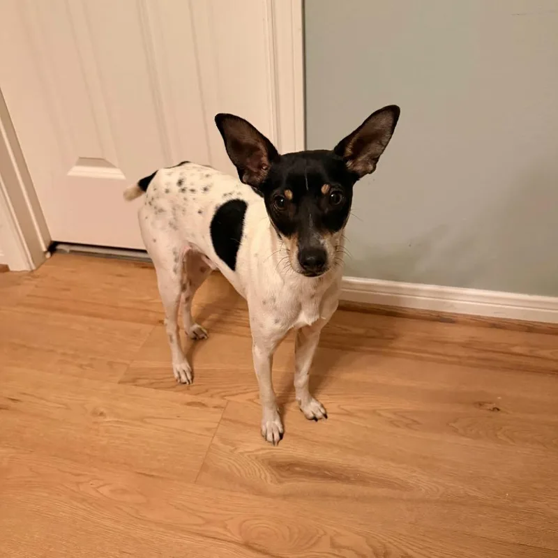 Jaxon D Arriving thumbnail 2