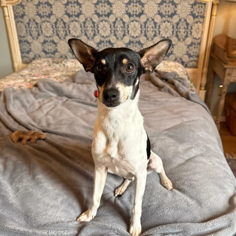 Jaxon D Arriving thumbnail 3