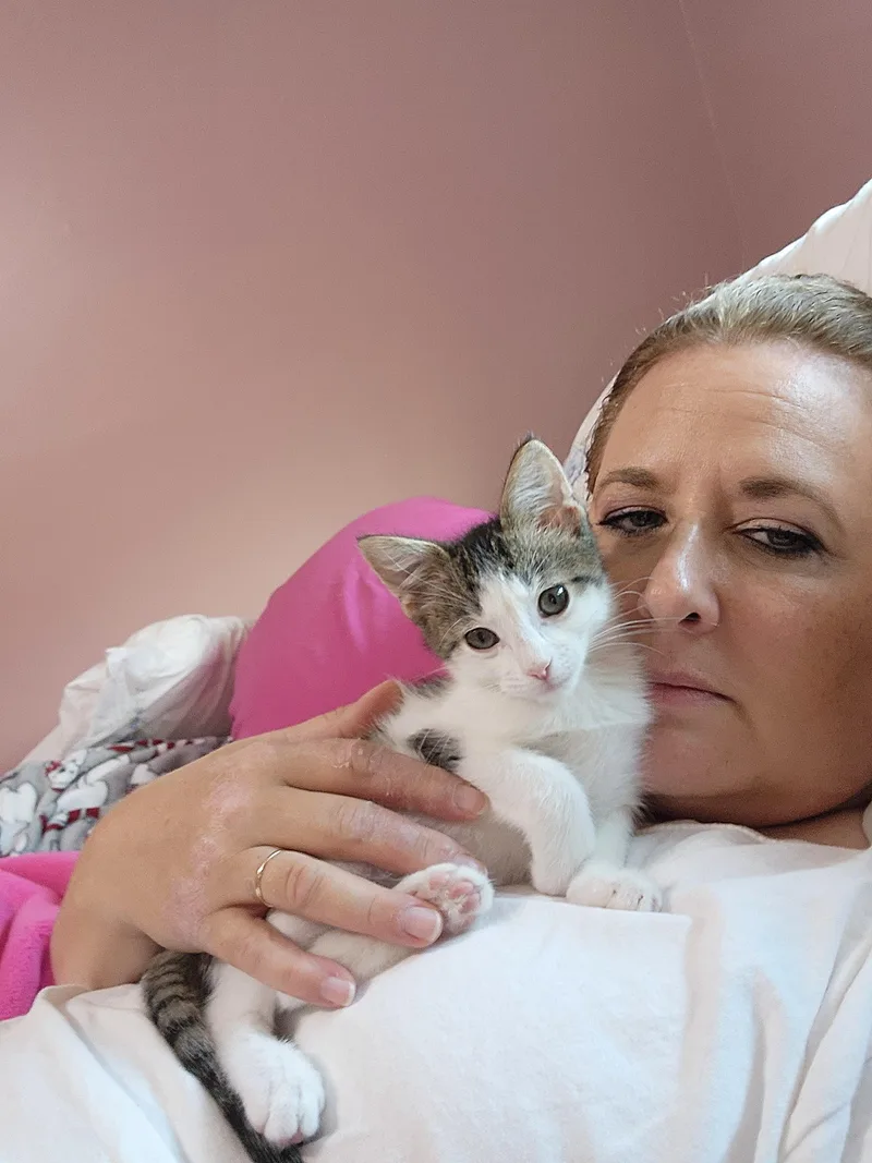 Hercules thumbnail 3