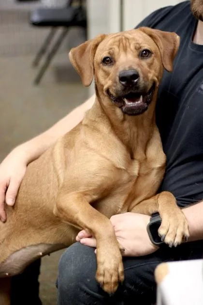 Goldilocks thumbnail 3