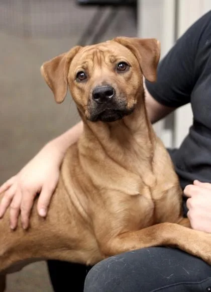 Goldilocks thumbnail 4