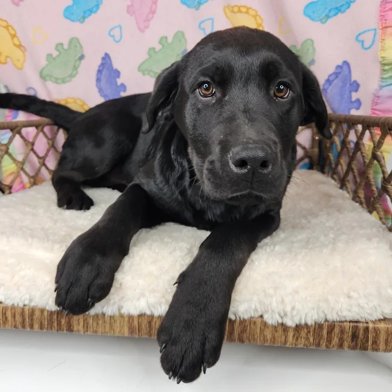 Michael Banks thumbnail 2