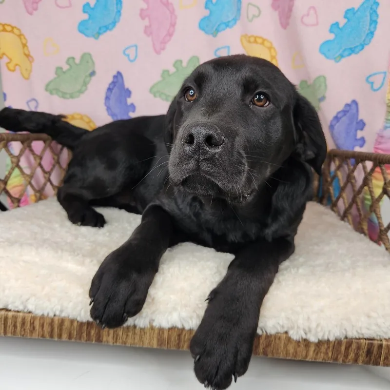 Michael Banks thumbnail 3