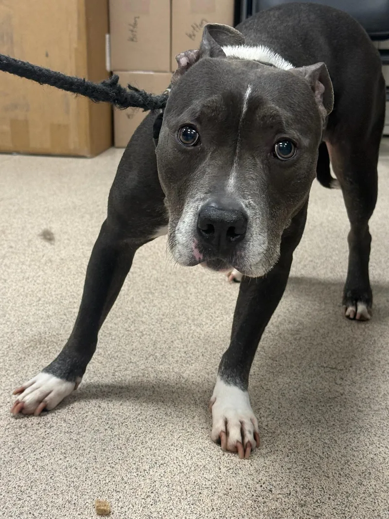 Jazmin thumbnail 3