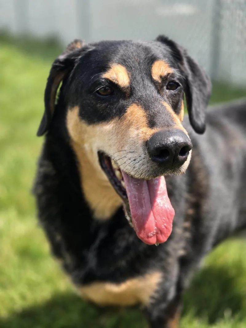 Jethro