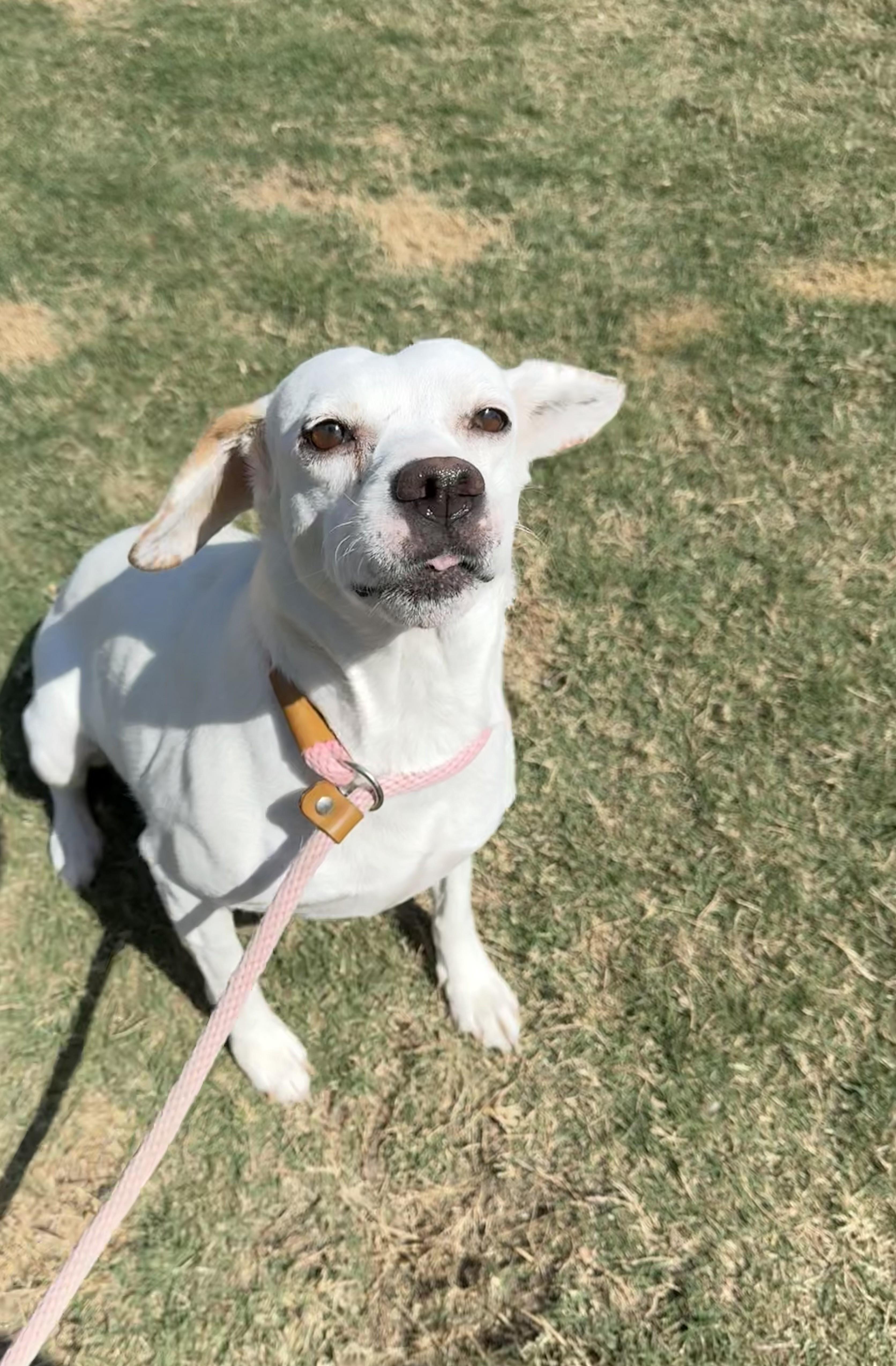 Millie Jane