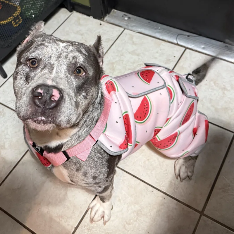 Isabella thumbnail 2