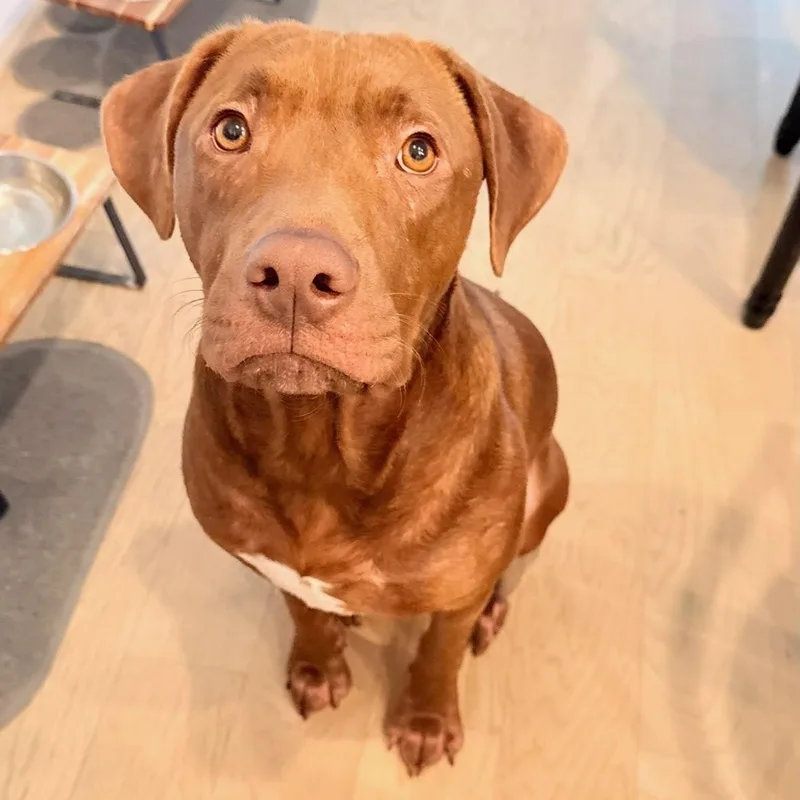 Forrest thumbnail 4