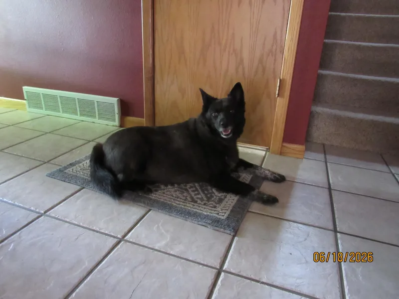 Ruby thumbnail 2