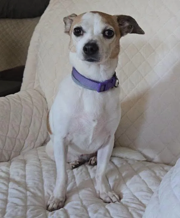Lola