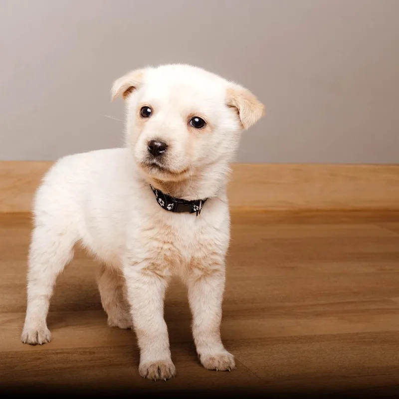 Journey D thumbnail 3