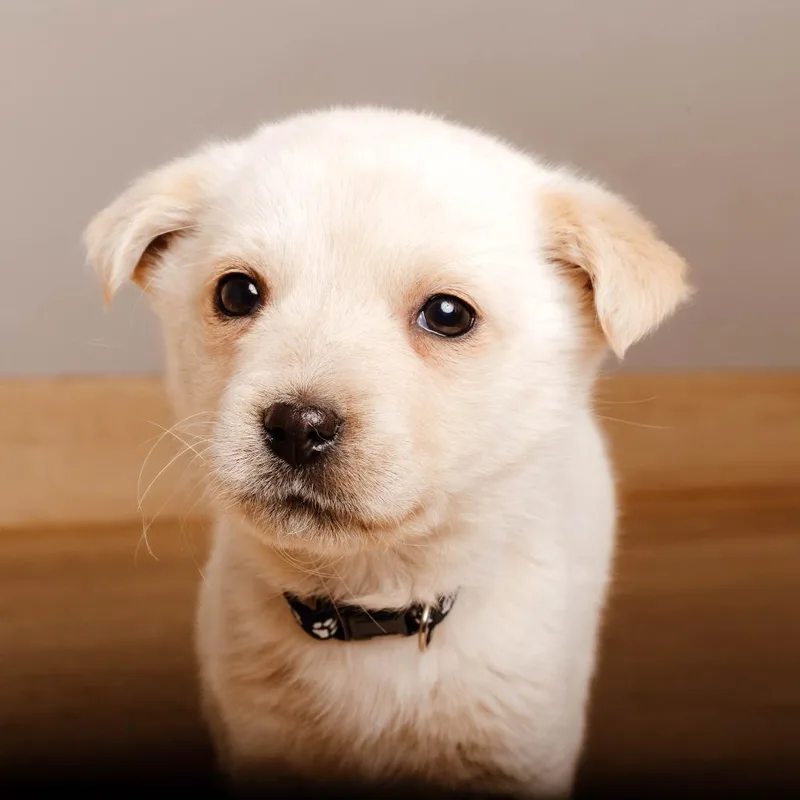 Journey D thumbnail 5