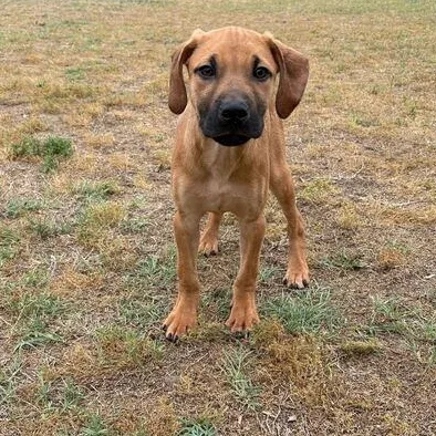 Diego