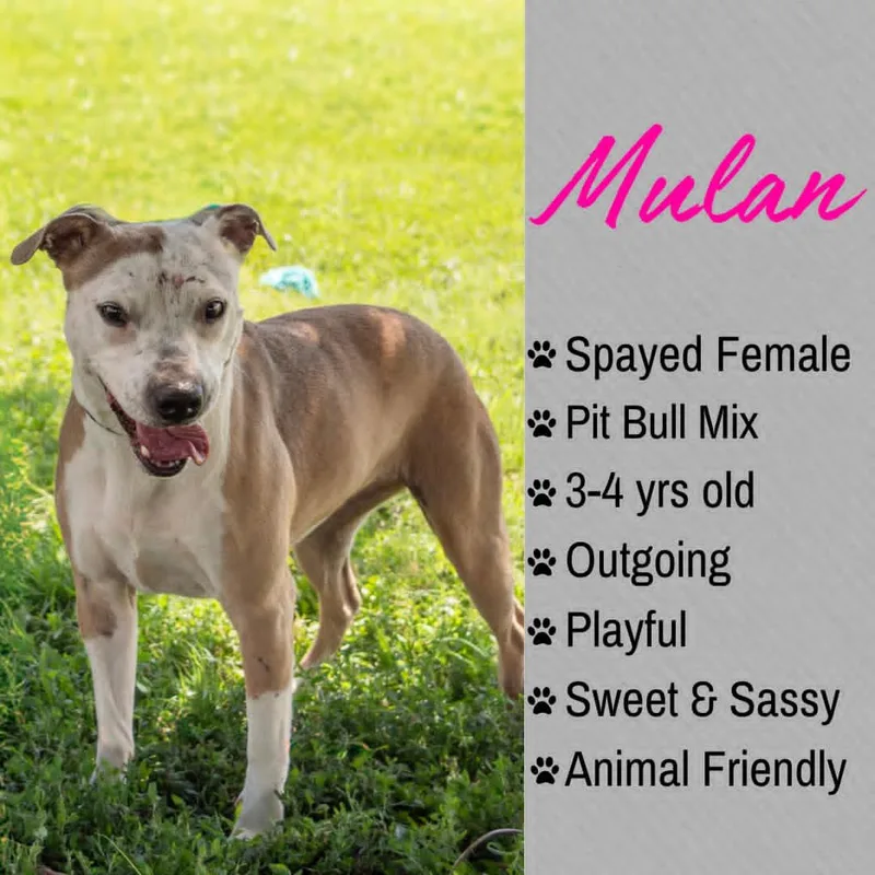 Mulan