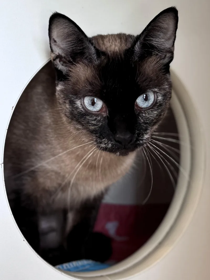 Frankie