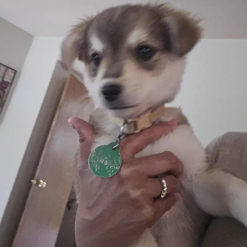 Mendocino thumbnail 4