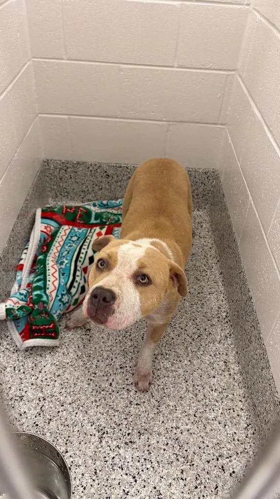 Sadiemay thumbnail 2