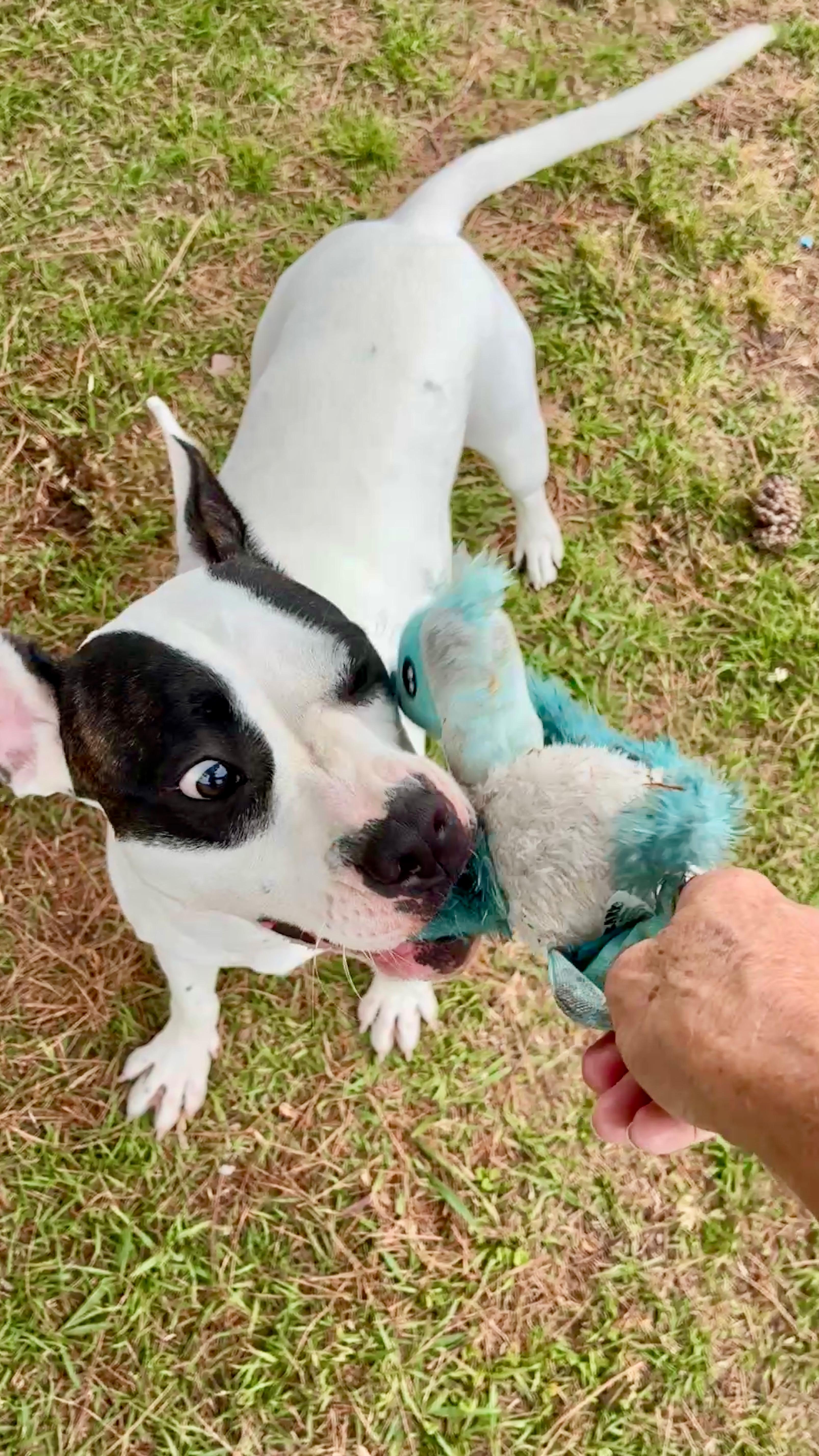 Darla thumbnail 3